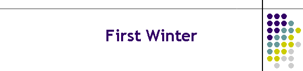 First Winter